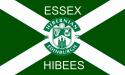 essexhibee's Avatar