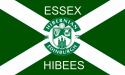 essexhibee's Avatar