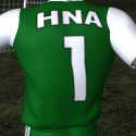 HNA1's Avatar